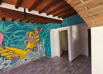 Bar Tavola Calda - Fredda Carpi - foto 6