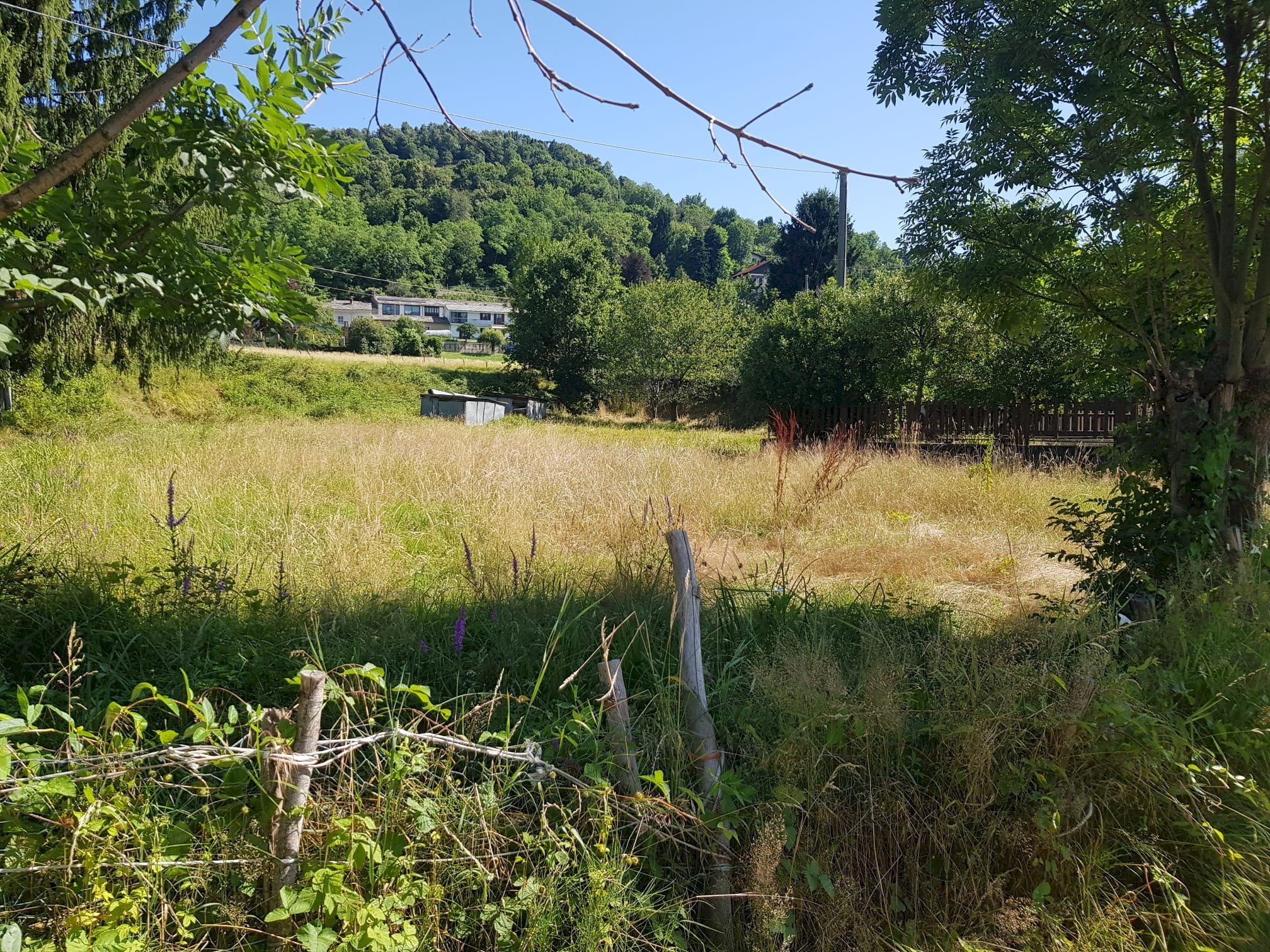 Terreno agricolo Strada dei Boer, 102, Luserna San Giovanni - foto 1