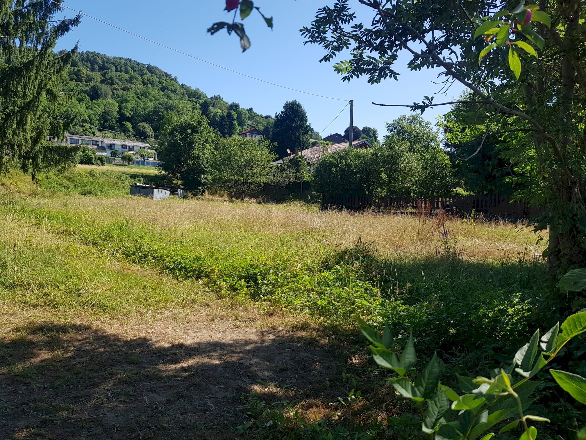 Terreno agricolo Strada dei Boer, 102, Luserna San Giovanni - foto 3