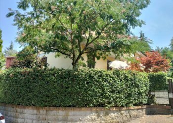 Apartment Travo - photo 7