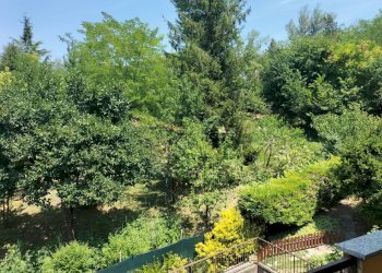 Apartment Travo - photo 29