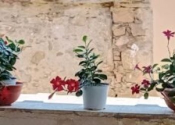 Casa semi indipendente Villanova d'Albenga - foto 12