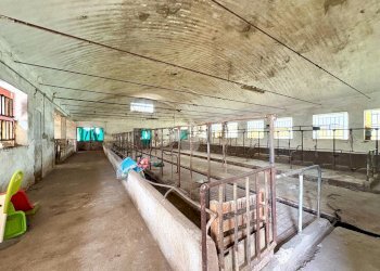 Quadrilocale Strada castagnole, Carignano - foto 21