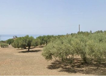 Terreno edificabile San Giorgio, Sciacca - foto 6
