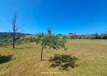 Foto 46 - Semi-detached house Vejano, Vejano - photo 46