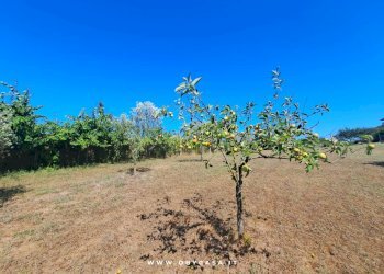 Foto 47 - Semi-detached house Vejano, Vejano - photo 47
