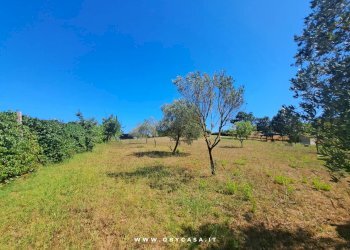 Foto 48 - Semi-detached house Vejano, Vejano - photo 48