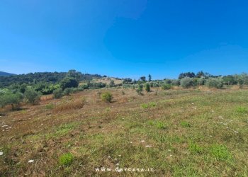 Foto 50 - Semi-detached house Vejano, Vejano - photo 50