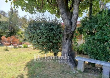 Foto 8 - Casa indipendente Via Col di Nava, Pietrasanta - foto 8