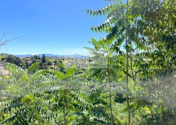 Foto 11 - Rustico Morlupo - foto 11