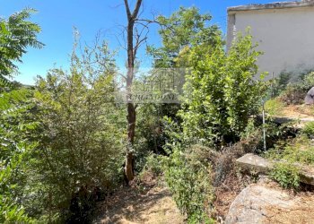 Foto 14 - Rustico Morlupo - foto 14