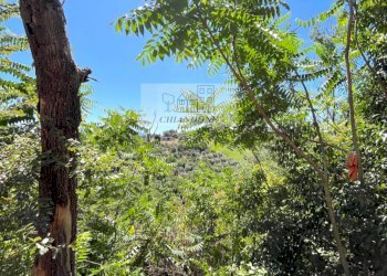 Foto 16 - Rustico Morlupo - foto 16