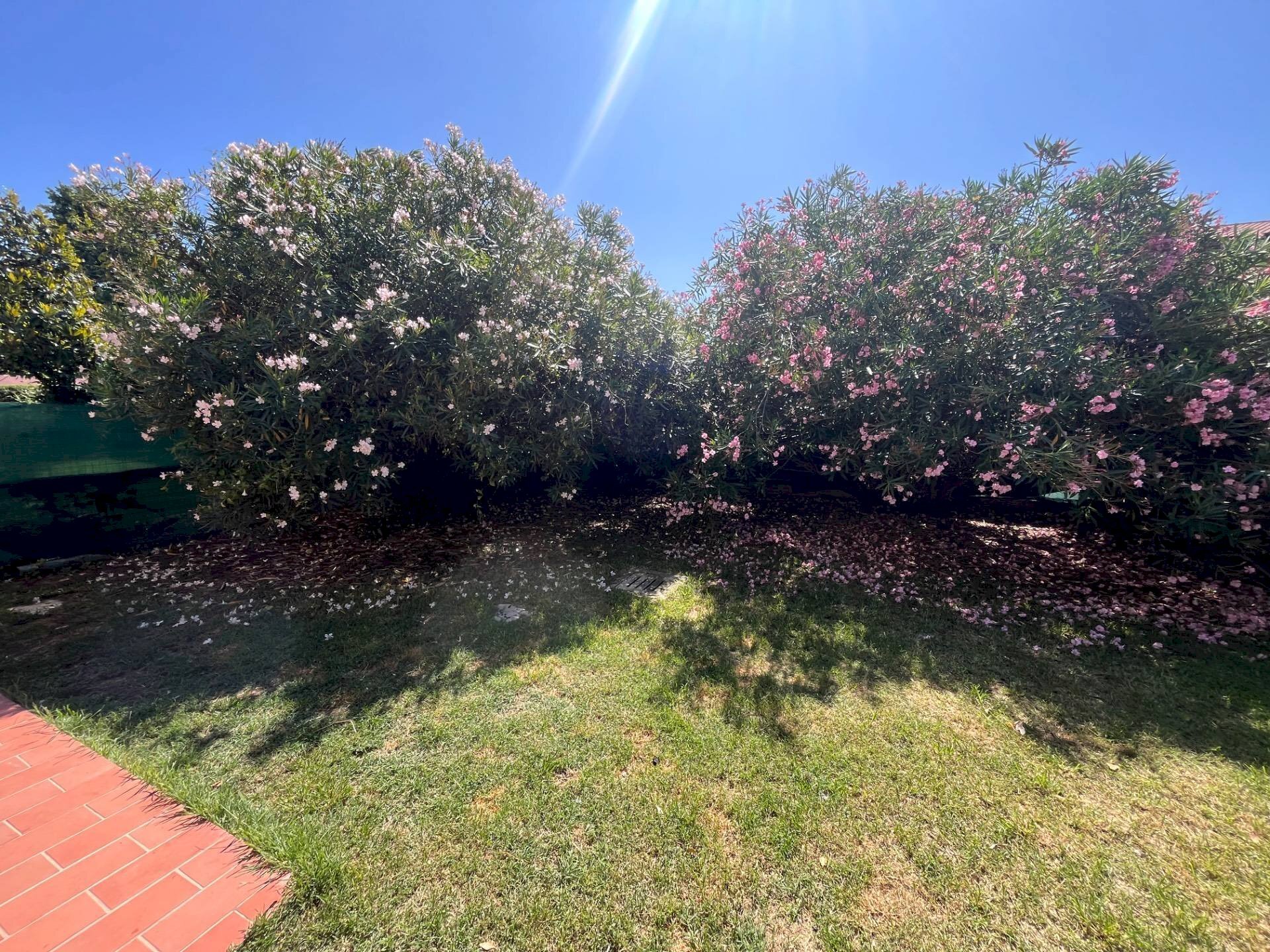 Foto 3 - Villa a Schiera Via Giacomo Leopardi
 
11, Casale sul Sile - foto 3