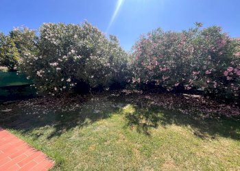 Foto 3 - Villa a Schiera Via Giacomo Leopardi
 
11, Casale sul Sile - foto 3