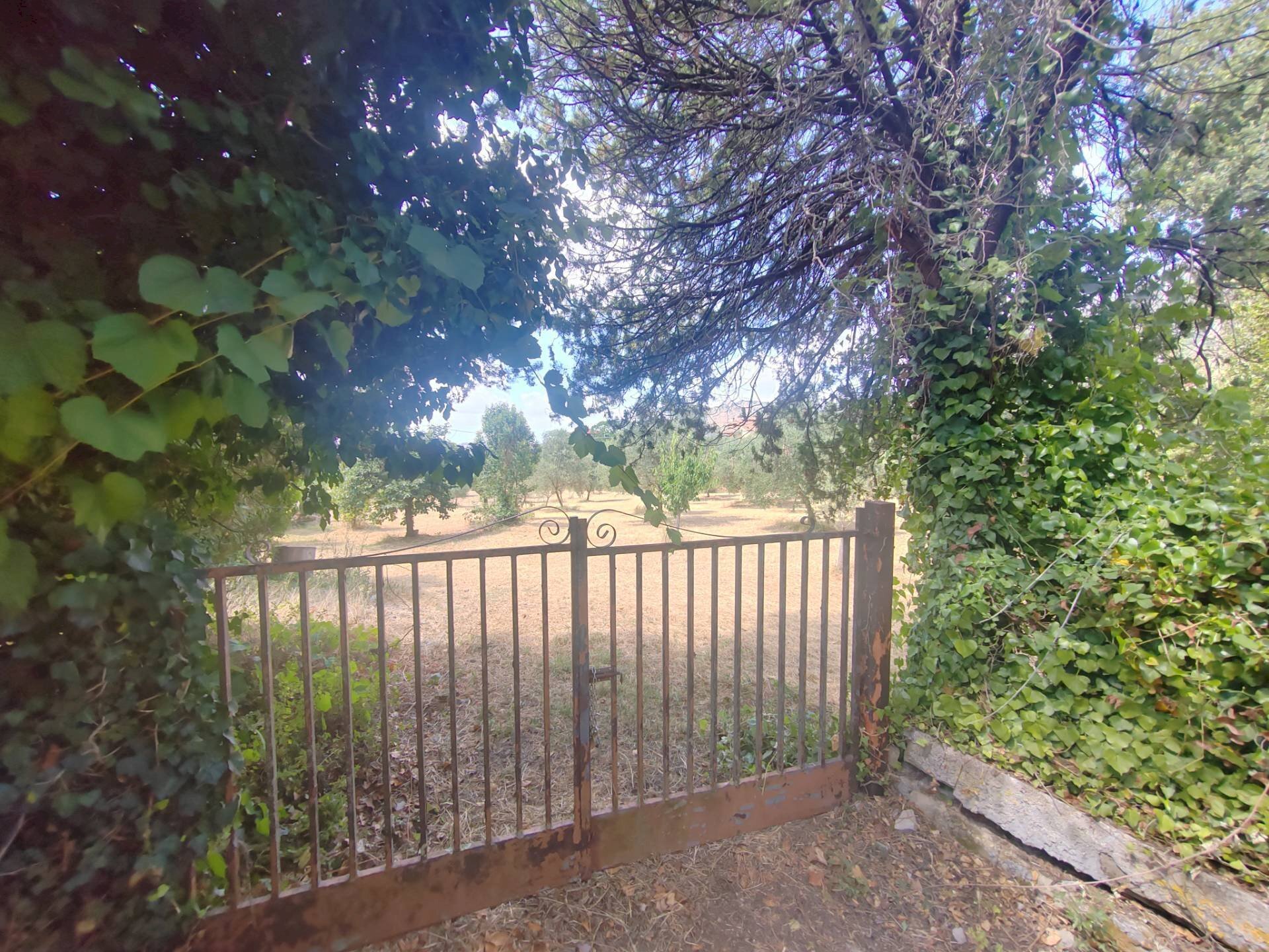 Foto 3 - Building land Santa Eleuterio, Maenza - photo 3