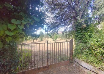 Foto 3 - Terreno edificabile Santa Eleuterio, Maenza - foto 3