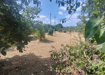 Foto 4 - Terreno edificabile Santa Eleuterio, Maenza - foto 4