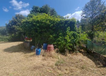 Foto 5 - Terreno edificabile Santa Eleuterio, Maenza - foto 5