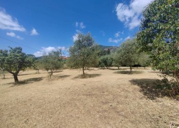 Foto 6 - Terreno edificabile Santa Eleuterio, Maenza - foto 6