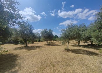 Foto 8 - Terreno edificabile Santa Eleuterio, Maenza - foto 8