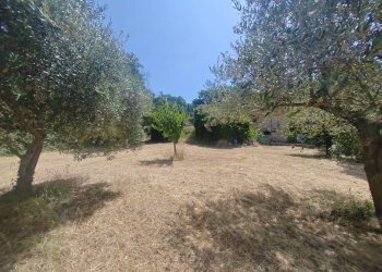 Foto 9 - Terreno edificabile Santa Eleuterio, Maenza - foto 9