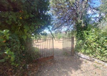 Foto 11 - Terreno edificabile Santa Eleuterio, Maenza - foto 11