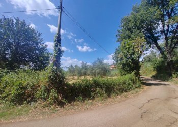 Foto 12 - Terreno edificabile Santa Eleuterio, Maenza - foto 12