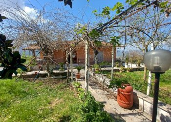 Foto 8 - Villa Via Auricola, Amaseno - photo 8