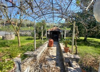 Foto 29 - Villa Via Auricola, Amaseno - photo 29