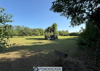 Foto 3 - Terreno agricolo snc, Passirano - foto 3