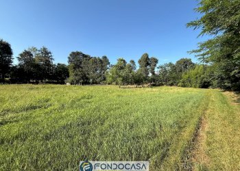 Foto 4 - Terreno agricolo snc, Passirano - foto 4