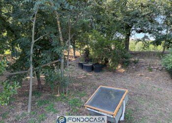 Foto 7 - Terreno agricolo snc, Passirano - foto 7