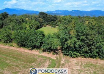 Foto 8 - Terreno agricolo snc, Passirano - foto 8