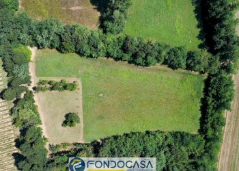 Foto 15 - Terreno agricolo snc, Passirano - foto 15