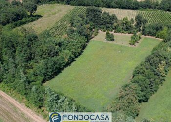 Foto 18 - Terreno agricolo snc, Passirano - foto 18