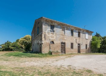 Foto 4 - Rustico Strada Picciano
 
17, Tavullia - foto 4