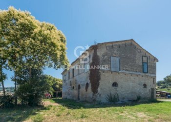 Foto 8 - Rustico Strada Picciano
 
17, Tavullia - foto 8