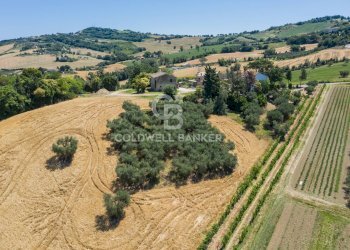 Foto 27 - Rustico Strada Picciano
 
17, Tavullia - foto 27