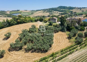 Foto 28 - Rustico Strada Picciano
 
17, Tavullia - foto 28