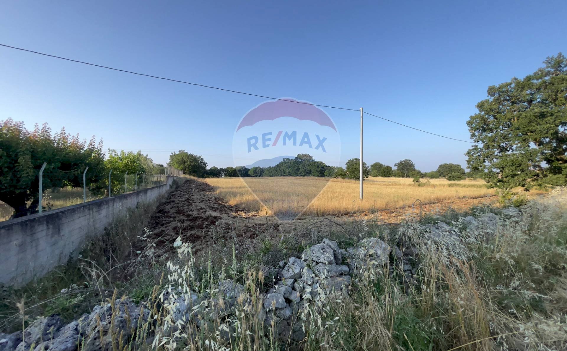 Giardino - Agricultural land Santeramo in Colle - photo 1