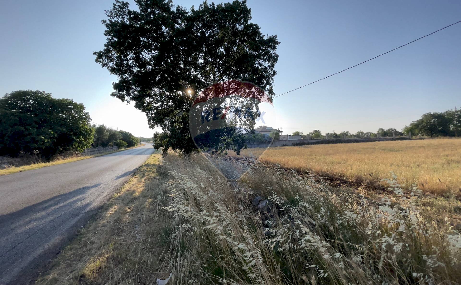 Non correlato - Agricultural land Santeramo in Colle - photo 2