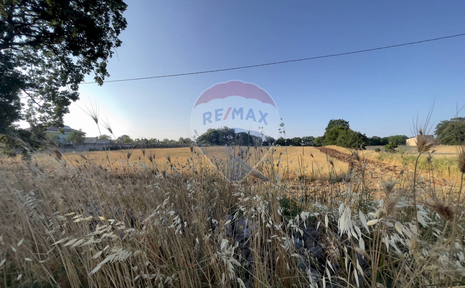 Vista delle montagne - Agricultural land Santeramo in Colle - photo 3