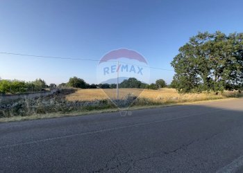 Non correlato - Terreno agricolo Santeramo in Colle - foto 4