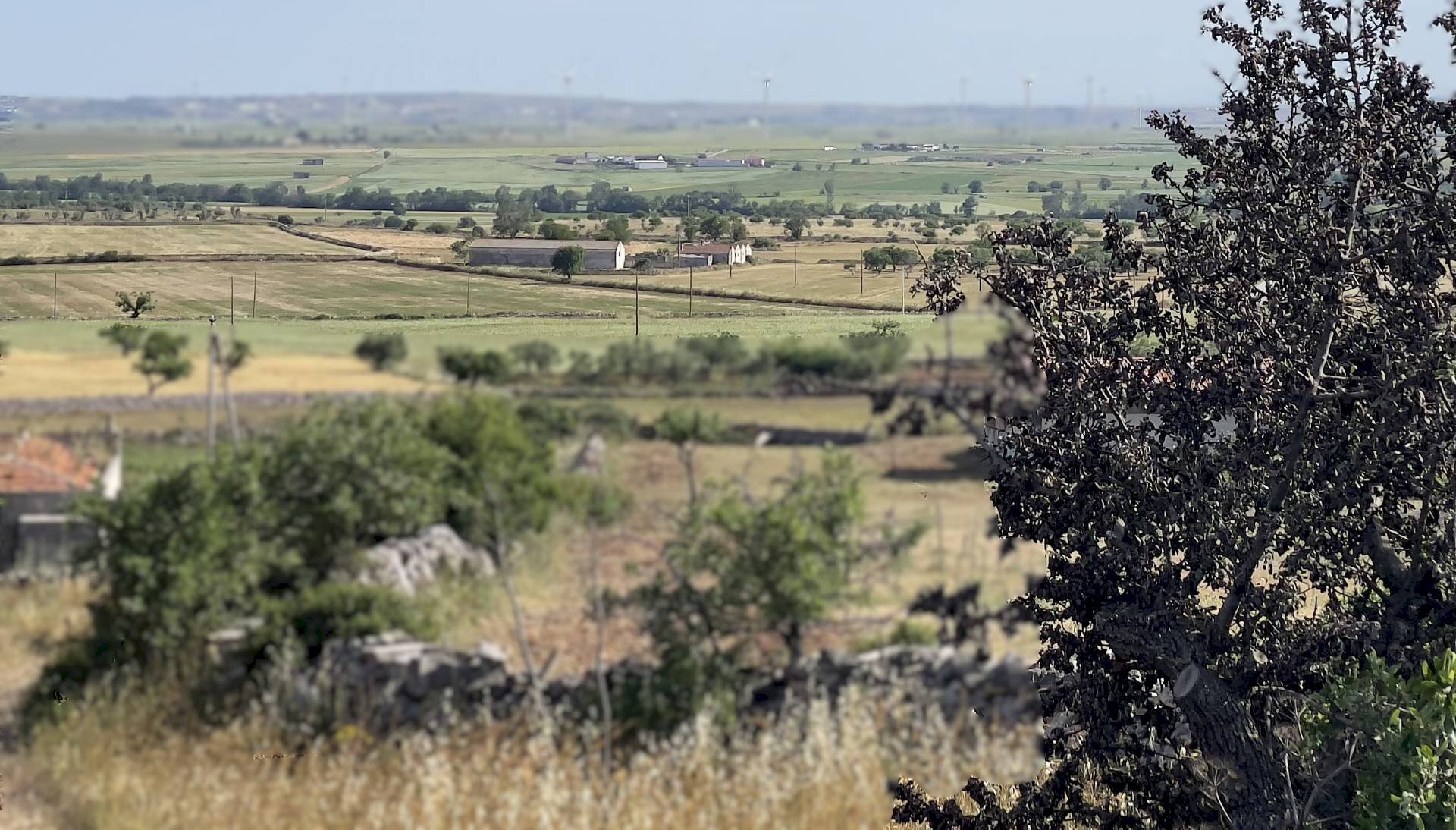 Vista delle montagne - Rustic Santeramo in Colle - photo 1