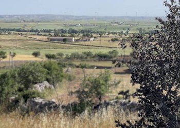 Vista delle montagne - Rustico Santeramo in Colle - foto 1
