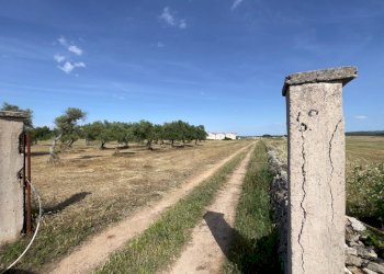Edificio all\'aperto - Rustico Santeramo in Colle - foto 3