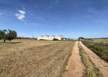 Non correlato - Rustico Santeramo in Colle - foto 4