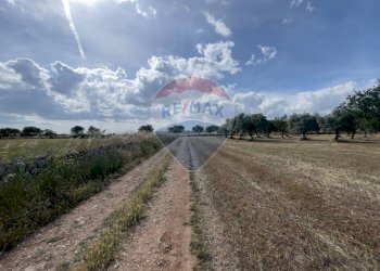 Vista delle montagne - Rustico Santeramo in Colle - foto 5