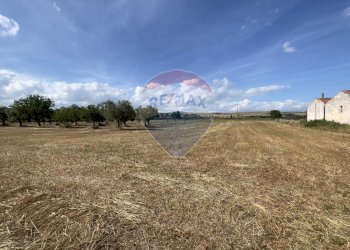 Non correlato - Rustico Santeramo in Colle - foto 7