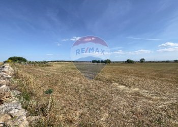 Vista delle montagne - Rustico Santeramo in Colle - foto 9